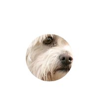 Wilma macht Wow -sie zaubert allen Menschen ein Lächeln ins Gesicht.